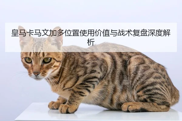 皇马卡马文加多位置使用价值与战术复盘深度解析